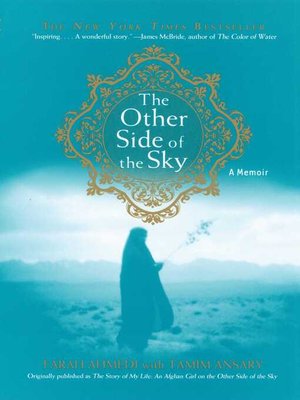 cover image of The Other Side of the Sky